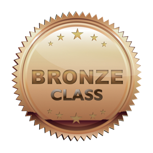Bronze Class Icon